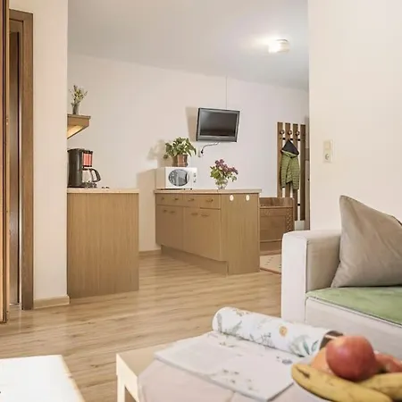 Alpenrose Apartment Ramsau im Zillertal Exterior photo
